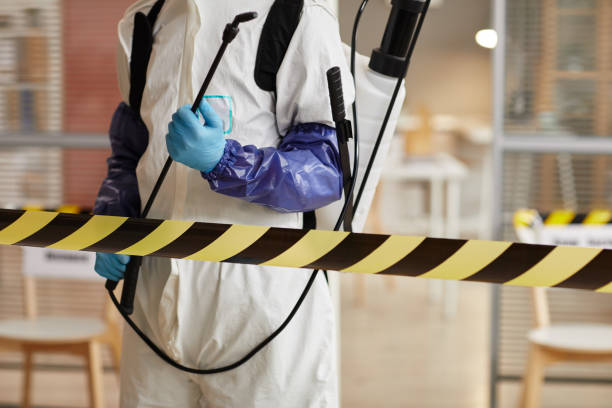 Professional Sewage Cleanup technician working in Rice, MN